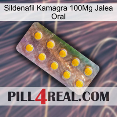 Sildenafil Kamagra 100Mg Oral Jelly new11